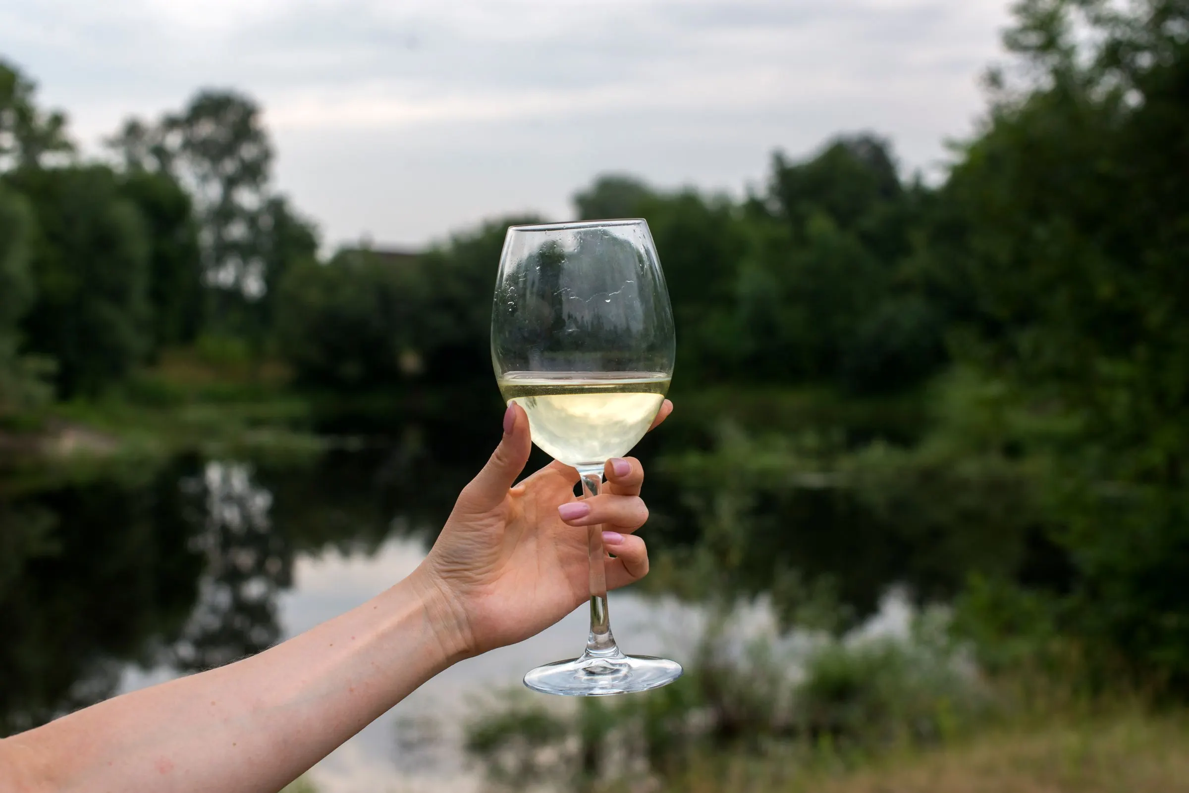 Copa de txakoli alzada con la ría de Urdaibai al fondo